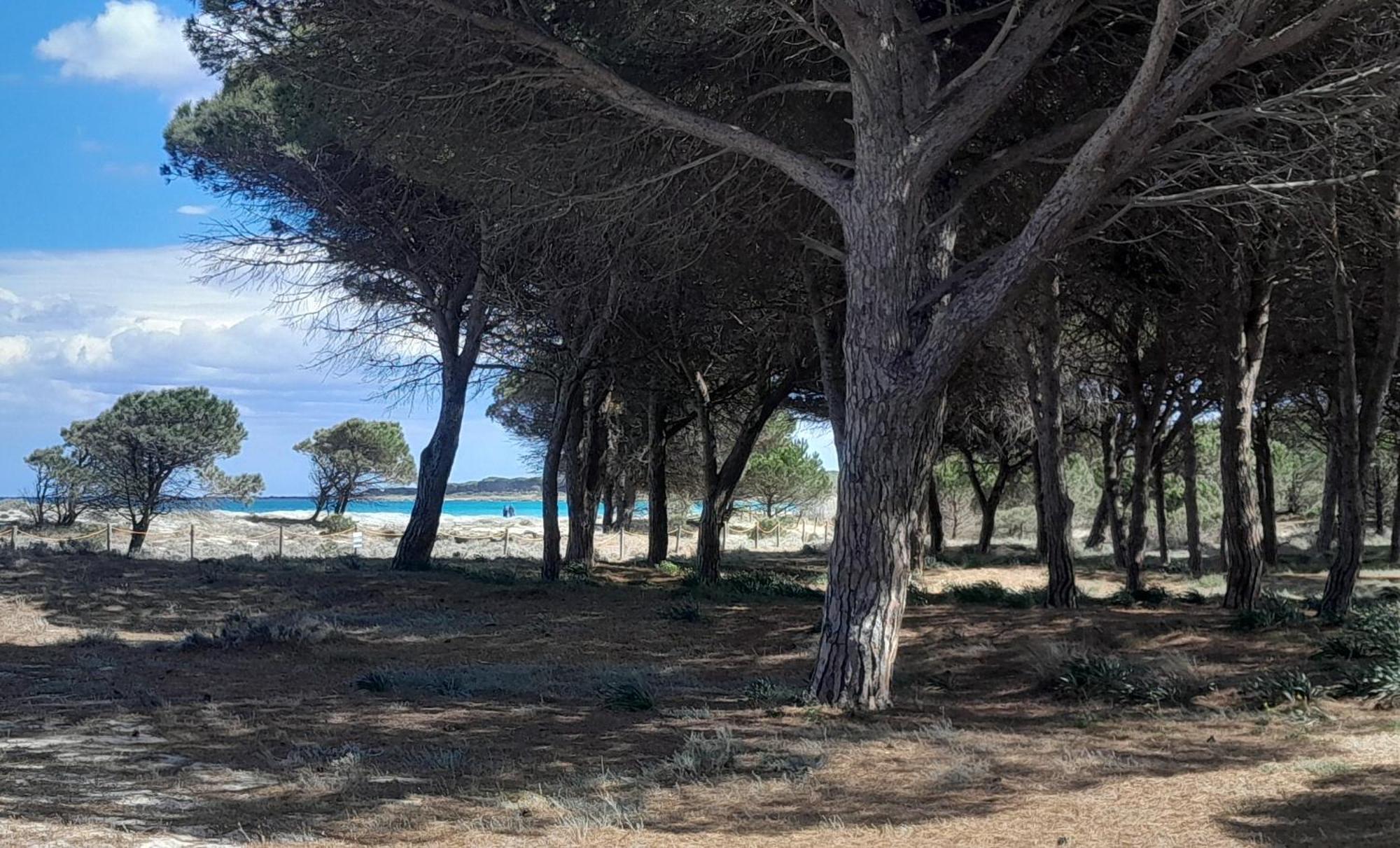 Resort Abbaia Ba Budoni Extérieur photo